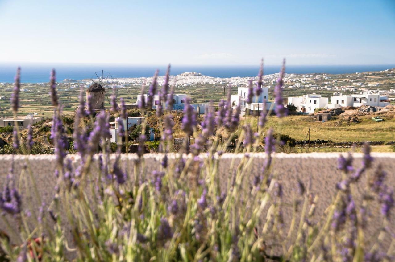 Naxos View Apartment Glinado Naxos Екстериор снимка