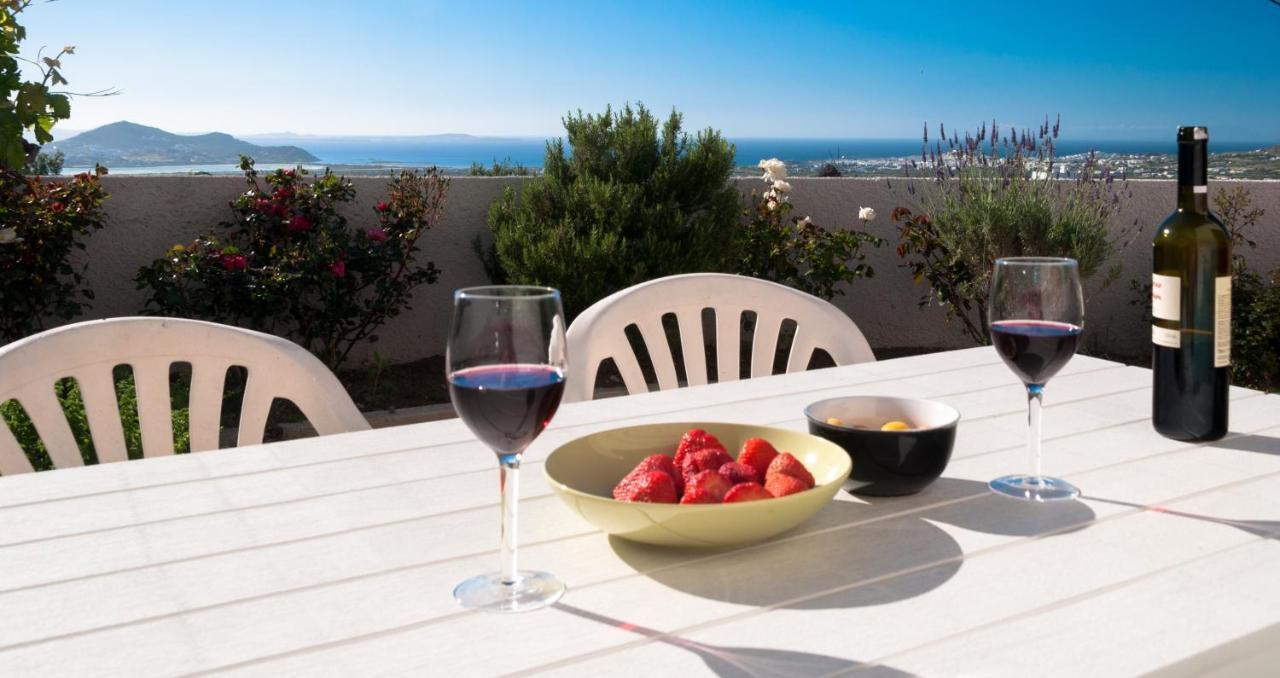Naxos View Apartment Glinado Naxos Екстериор снимка